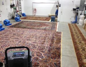 Oriental and area rugs laid out in the Masterclean shop for washing