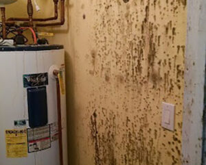 Mold growth on a wall behind a water heater