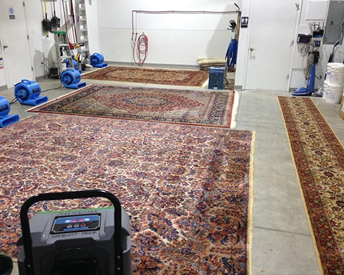 Oriental Rug cleaning company