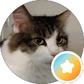 Cindy Seifer Avatar